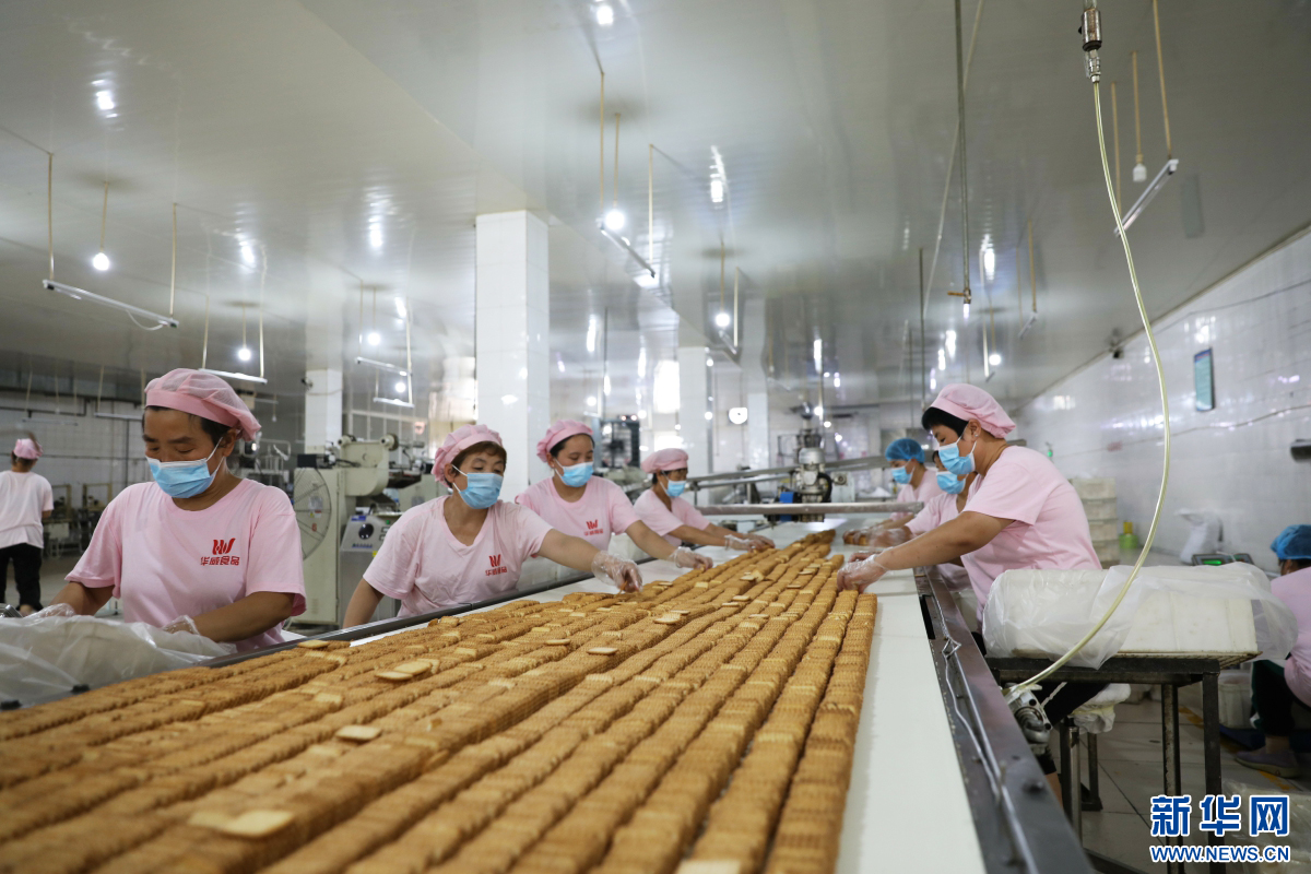 九游体育网站：noname(图2)