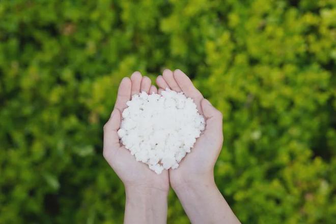 九游体育网站：亚太森博BPW纸板系列浆：液体包装白卡纸用浆源头守护食品安全