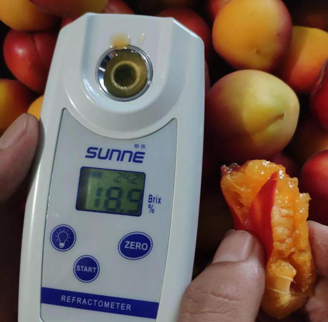 九游体育：明明可以靠颜值偏偏如此软、香、甜就吃这15天记得温柔以待哦！(图3)