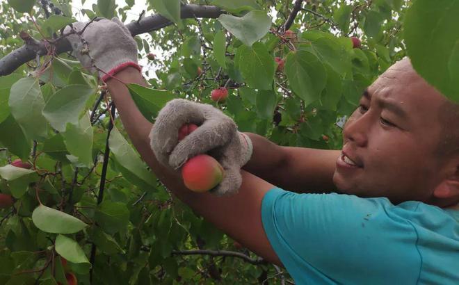 九游体育：明明可以靠颜值偏偏如此软、香、甜就吃这15天记得温柔以待哦！(图8)