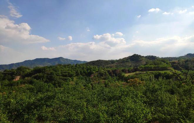 九游体育：明明可以靠颜值偏偏如此软、香、甜就吃这15天记得温柔以待哦！(图7)