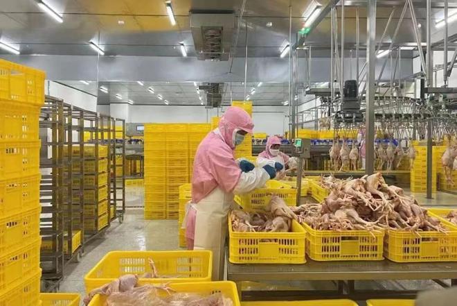 肥城桃园镇：做强现代食品产业兴乡村(图1)