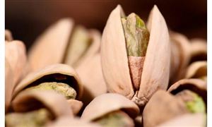 纸制品包装行业现状分析以及行业前景分析(图7)