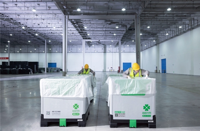 食品安全新防线：箱箱共用循环包装方案重塑食品运输新方式