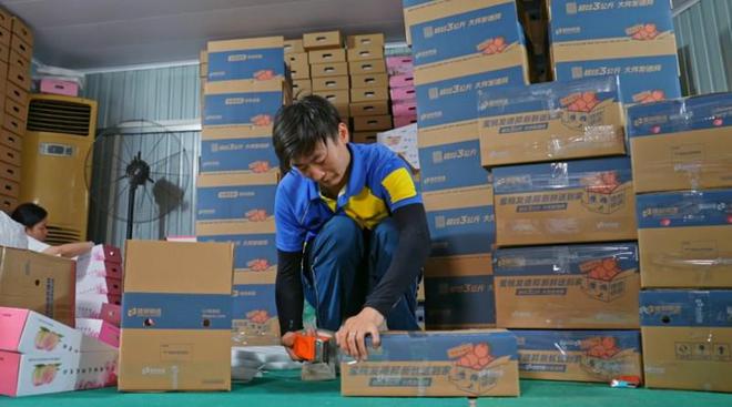 九游体育：水蜜桃新鲜上线德邦快递全程护航助力乡村振兴(图3)