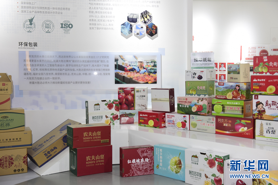 续写丝路新篇章｜小纸箱里的大智慧(图2)