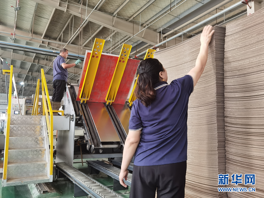 续写丝路新篇章｜小纸箱里的大智慧(图3)