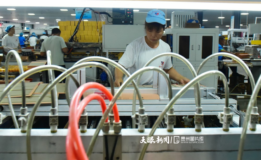 九游体育：思南：贵州万通包装科技赋能助推地方经济发展(图3)