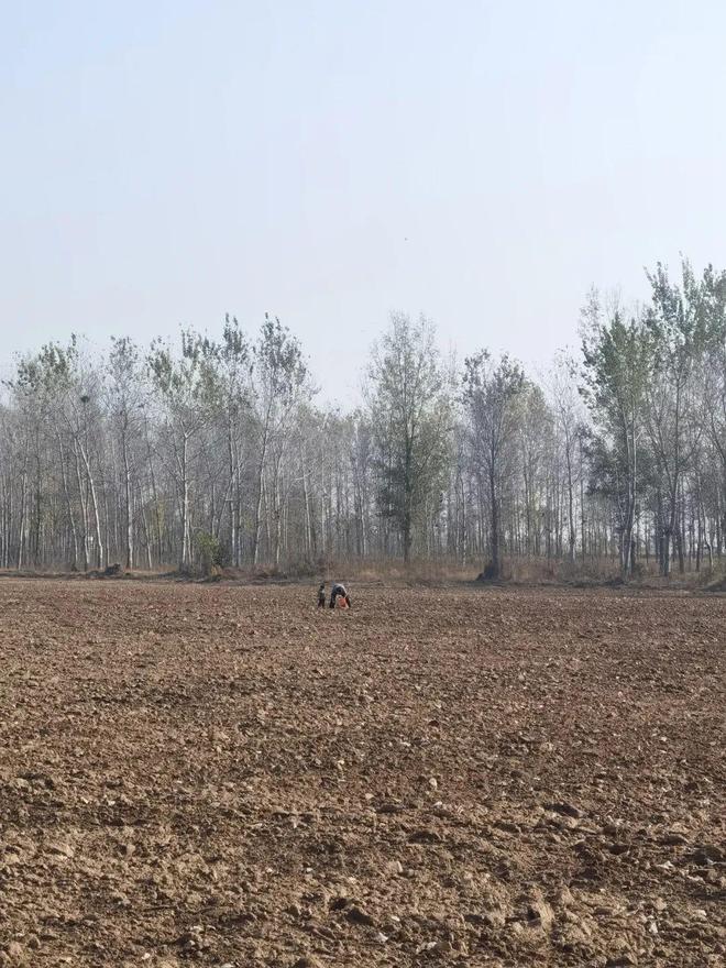 满满花青素个个流蜜流油入秋谁吃谁享受减脂人也能放心炫！(图3)