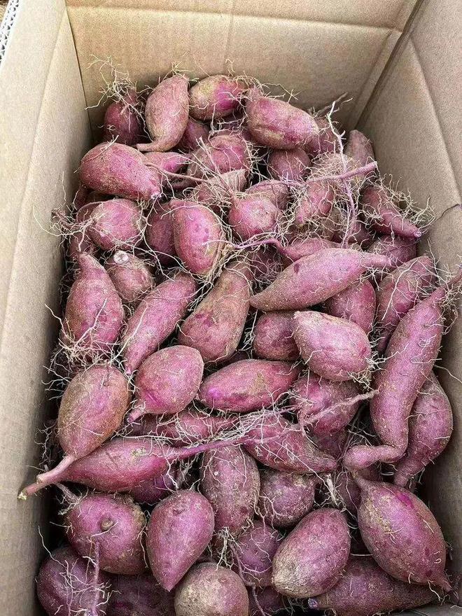 满满花青素个个流蜜流油入秋谁吃谁享受减脂人也能放心炫！(图7)