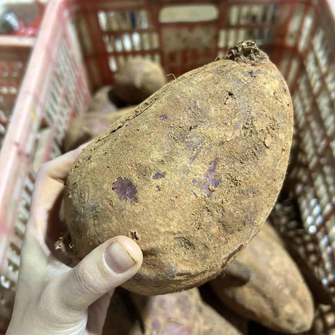 满满花青素个个流蜜流油入秋谁吃谁享受减脂人也能放心炫！(图15)