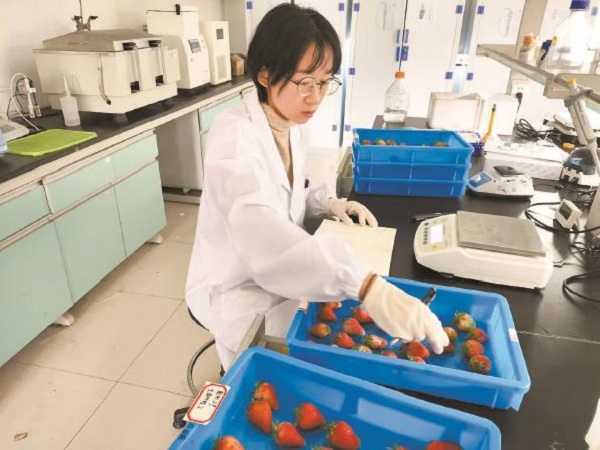 九游体育网站：AI“慧眼”看清食物内部新鲜度——人工智能等新一代核心技术正快速赋能上海现代农业