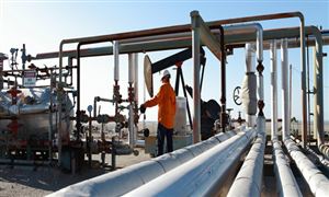 食品包装：垃圾太多环卫工吃不消食品包装行业市场机遇分析2024(图4)