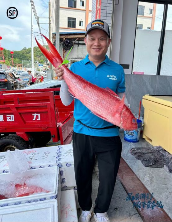 九游体育：顺丰多种模式助力粤西海鲜畅游全国(图2)