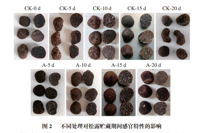 九游体育：《食品科学》：成都大学李翔、刘达玉教授等：基于主成分分析的冰温气调包装对松露的品质指标及相关性影响(图3)