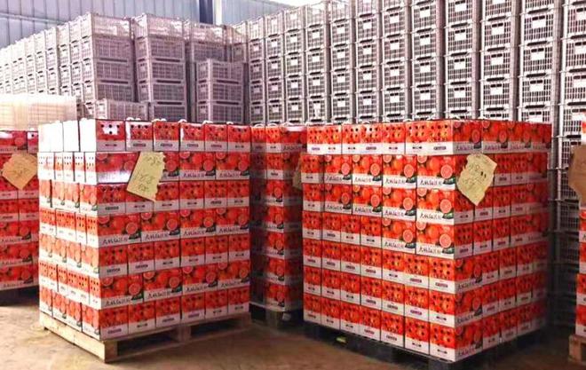 九游体育：预包装食品海运出口东南亚需要哪些资料(图2)