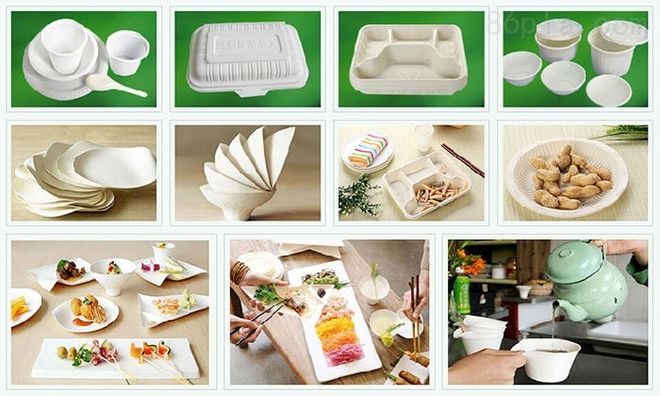 聚乳酸：绿色未来的多面手材料(图4)