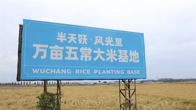 深耕黑龙江五常大米产地价值风光里与半天妖共创餐饮合作新篇章(图2)