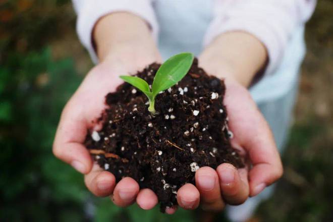 IPFM国际植物纤维纸浆模塑佛山展纸浆模塑包装加工工艺特点及流程(图3)