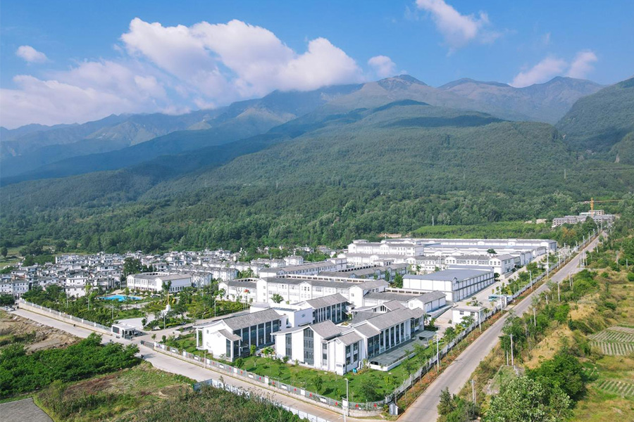 九游体育网站：云南下关沱茶集团：传承发展百年沱茶推动“三茶”统筹新发展