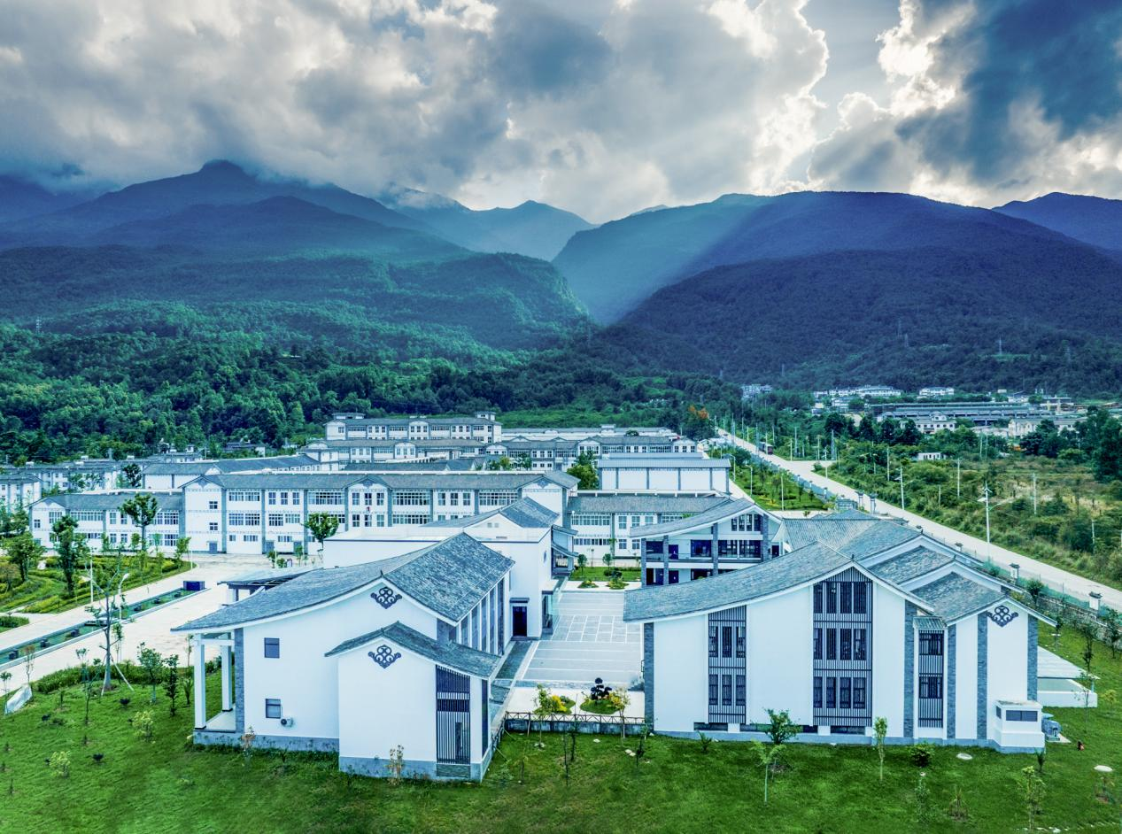 九游体育网站：云南下关沱茶集团：传承发展百年沱茶推动“三茶”统筹新发展(图6)