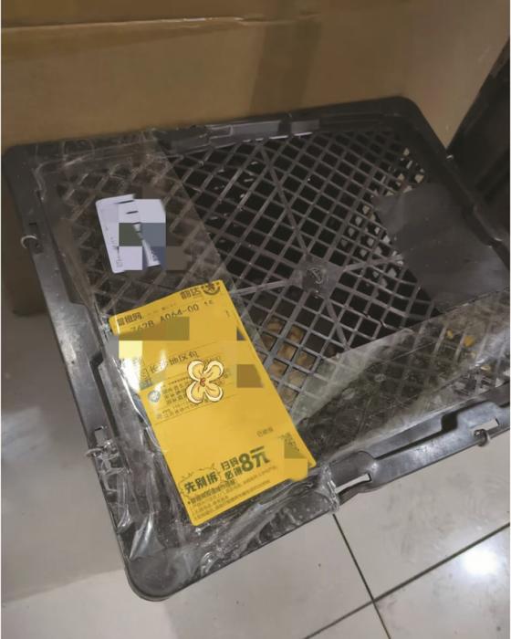 网购小猫竟用塑料筐寄来网友质疑违规寄递活体动物