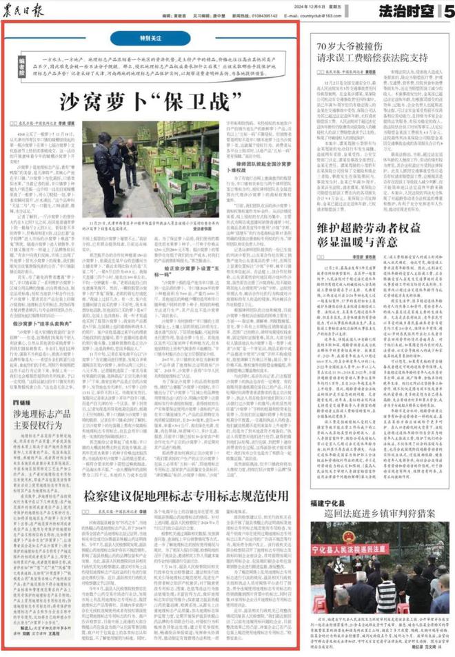 沙窝萝卜也有“李鬼”？如何保卫地标产品的“金字招牌”→→(图6)