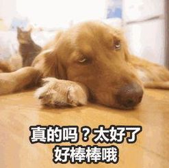 为救“乘客”网约车司机报警……(图1)