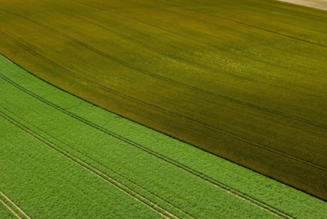 食品安全、AI赋能、再生农业、可持续包装2025食品饮料行业趋势洞察(图4)