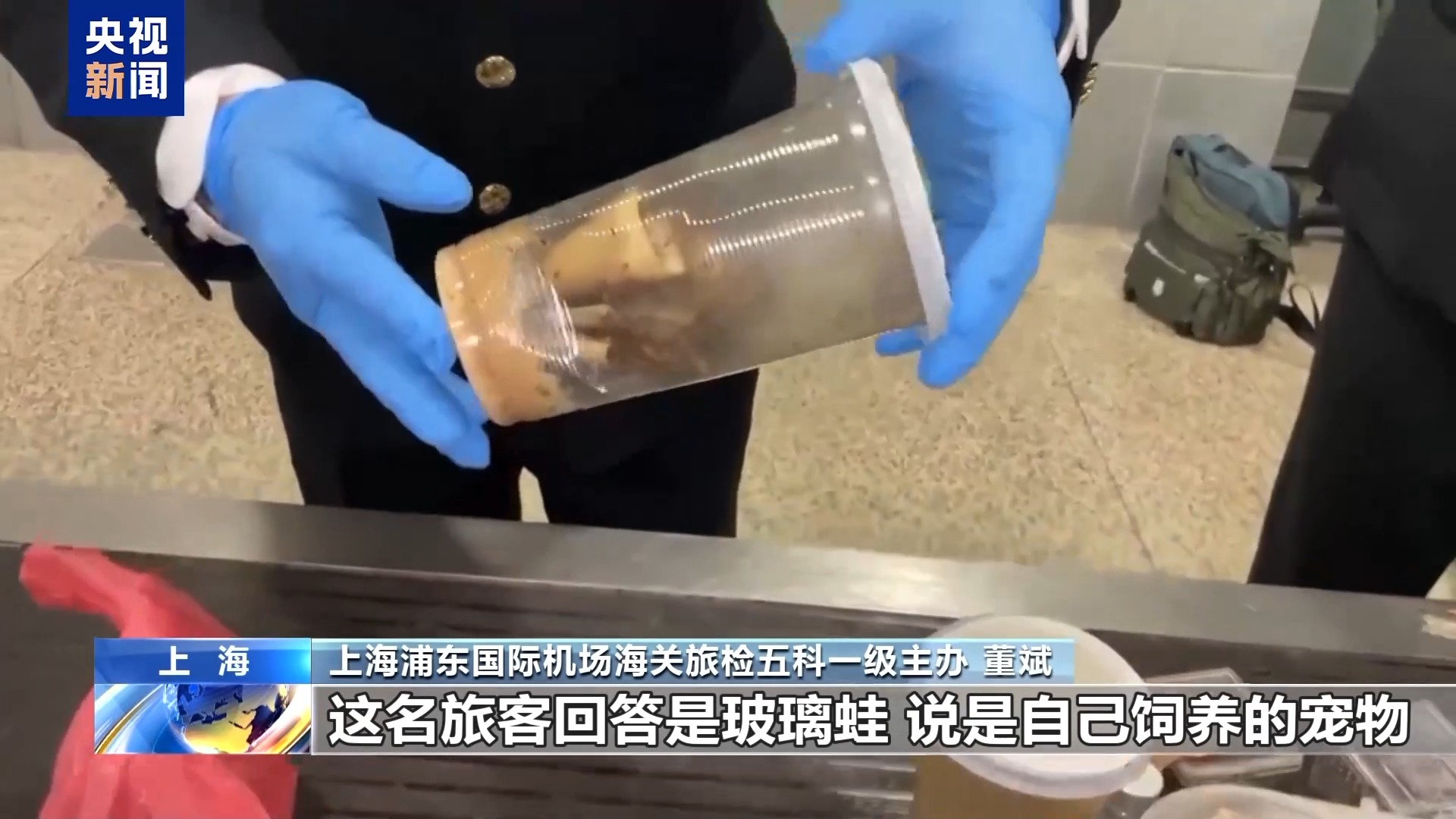 上海海关频频查获携寄“异宠”进境行为去年截获近5700只(图4)