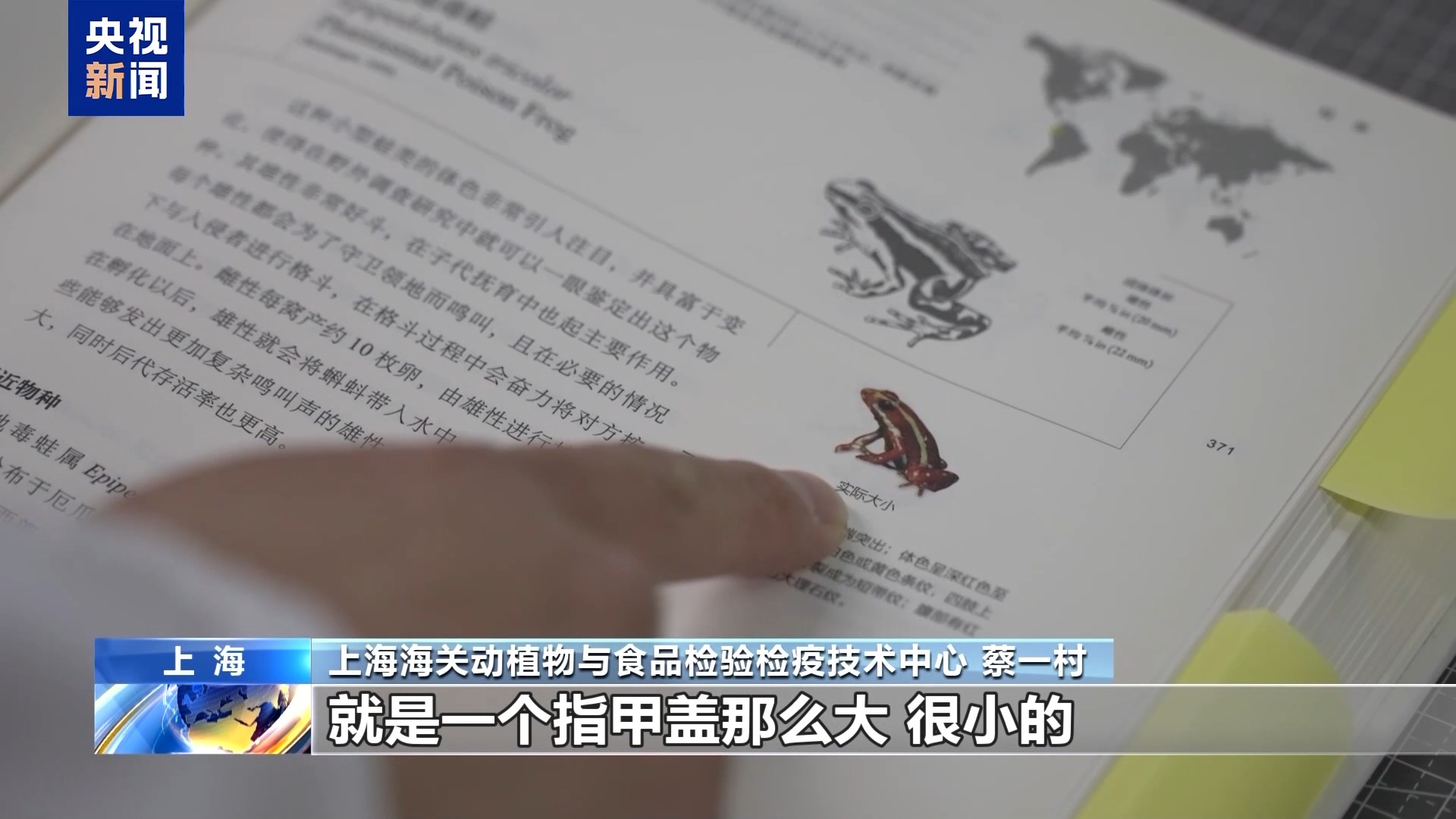 上海海关频频查获携寄“异宠”进境行为去年截获近5700只(图6)