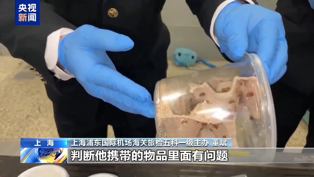 36只蜈蚣闯关？上海海关拆穿“塑料摆件”陷阱(图2)