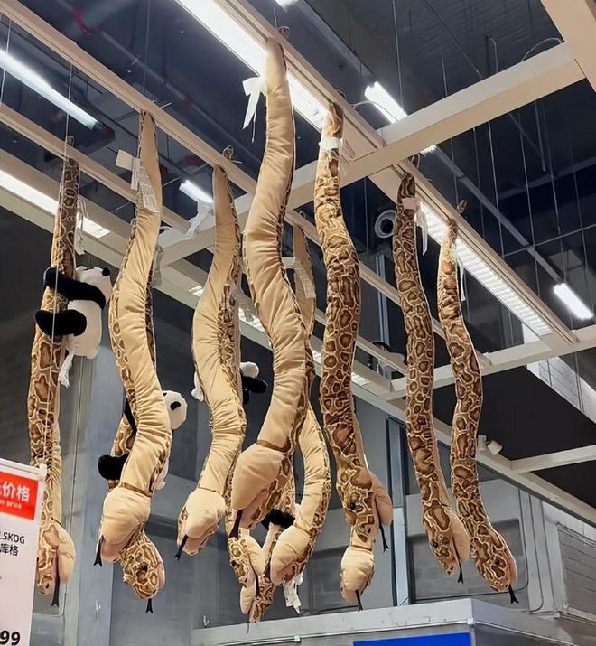 九游体育：好端端过个蛇年怎么所有怕蛇的人都要把它踢出十二生肖？(图4)