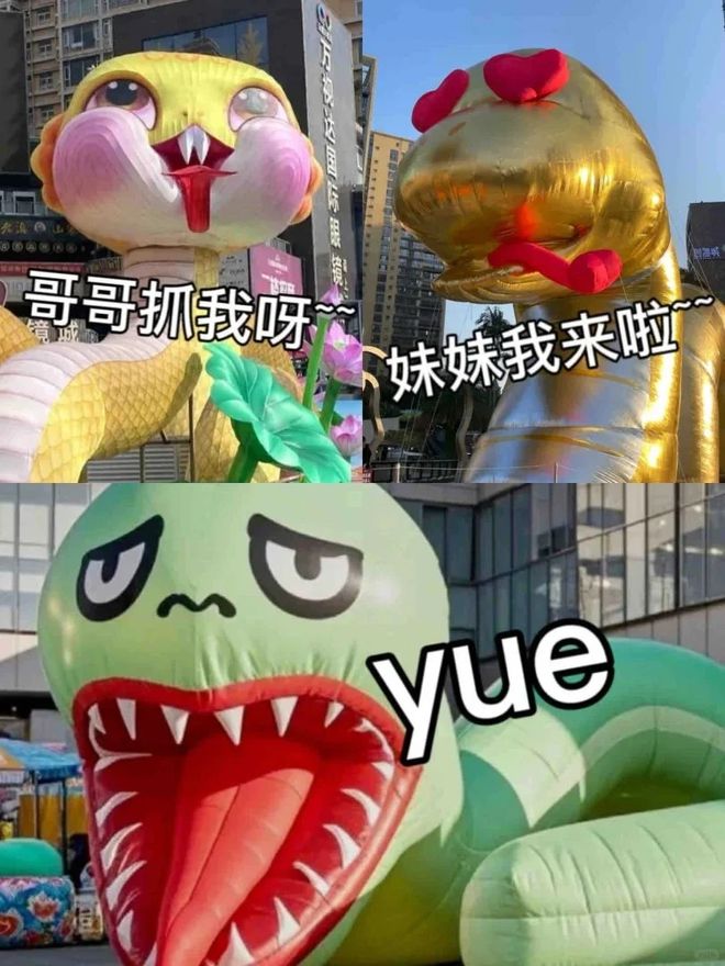 九游体育：好端端过个蛇年怎么所有怕蛇的人都要把它踢出十二生肖？(图6)