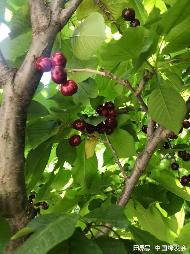 反对过度包装、防止食品浪费、注重绿色低碳等(图2)