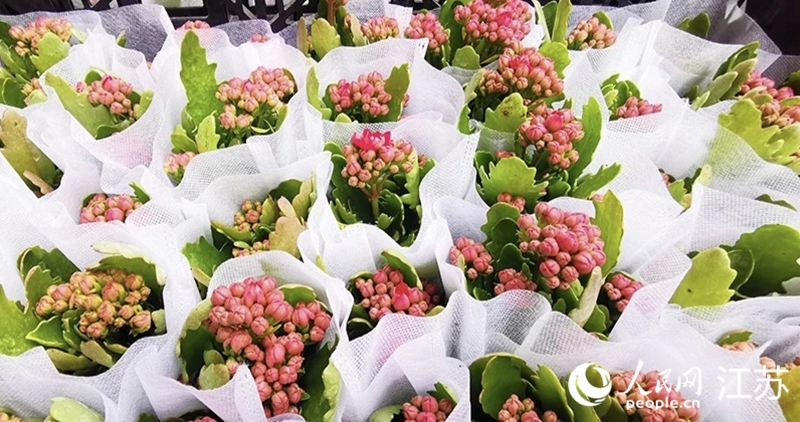 九游体育网站：徐州邳州市：工强农兴“两开花”(图3)