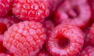 九游体育网站：2024年中国食品包装行业现状及前景趋势分析(图5)