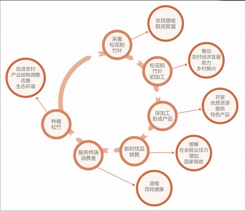 绿色为底健康为墨擘画三十载风华——走进新时代健康产业（集团）有限公司(图2)