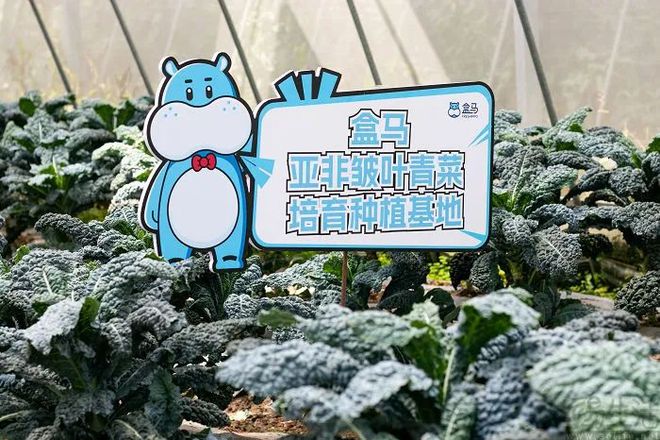 九游体育：喜茶纤体瓶杀进山姆！从“被嫌弃”到品牌疯抢食品圈都在赌下一个超级食材？(图6)