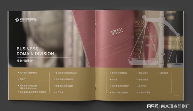九游体育网站：南京法律业务宣传册设计-公司管理画册印刷-南京包装盒印刷(图2)