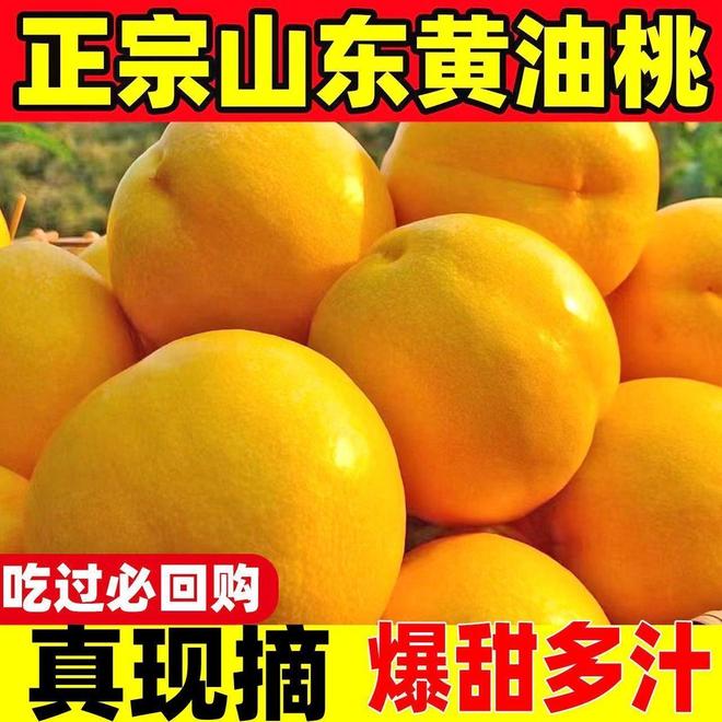 夏日甜蜜暴击！这款山东黄油桃让你一口沦陷(图1)