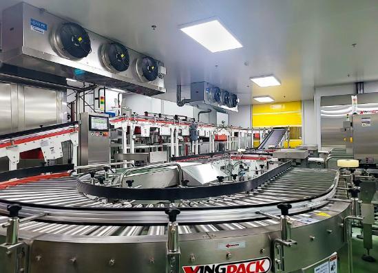 九游体育网站：宠物食品自动化包装生产线如何保障品质