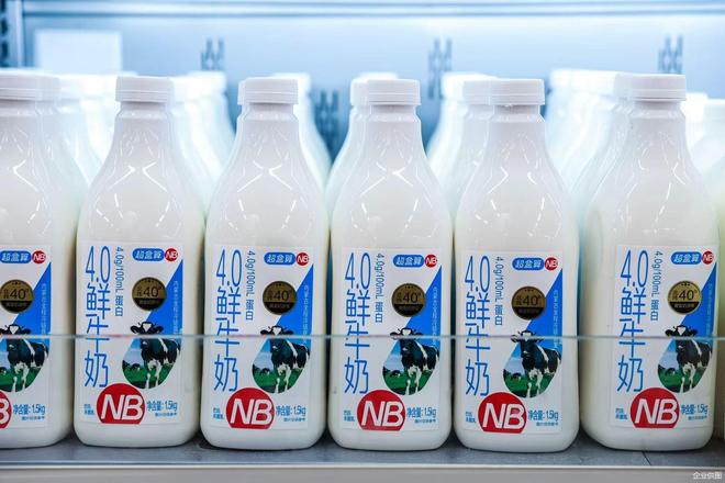 九游体育网站：揭开互联网硬折扣超市的底牌：短链路、低毛利、高周转(图4)