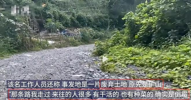 氢氟酸新后续：受害者不是去散步律师发声恐难追究丢弃人刑责(图25)