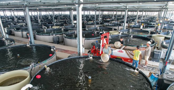 专注“一公里深”叮咚买菜构建“食安共治”新范式(图4)