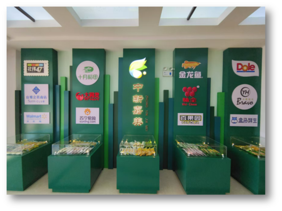 九游体育网站：吉林鲜食玉米十大黄金名片｜吉林嘉美食品有限公司：黑土孕糯香“嘉美”谱新章(图4)