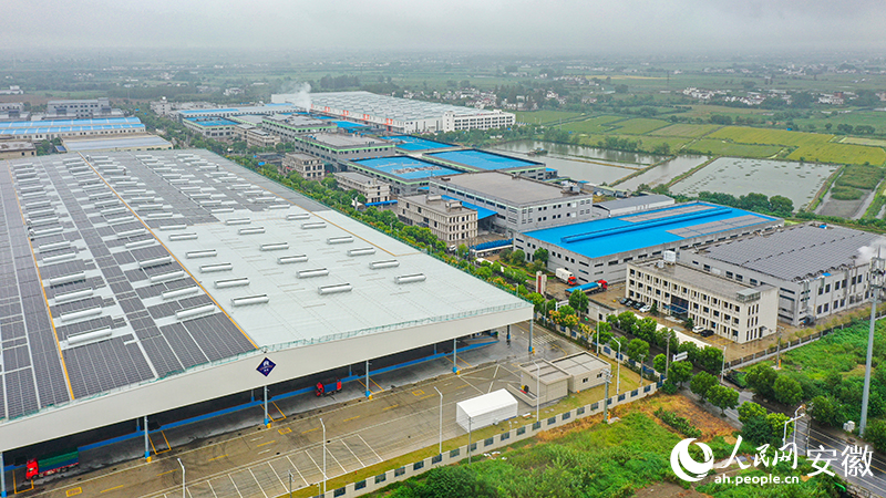 安徽向前丨无为坚果大有可为(图2)