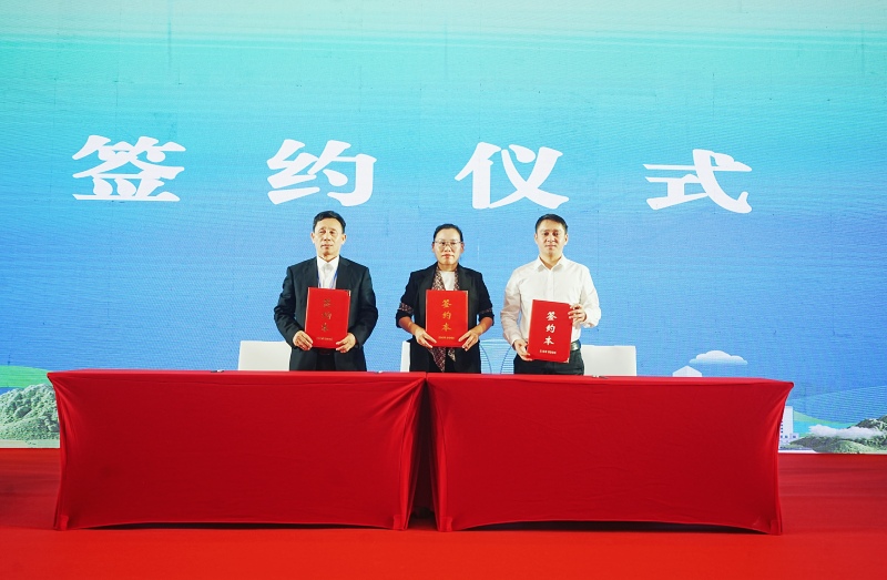 聚焦标准引领！全国糕点标委会2025年工作会议在海南万宁召开(图3)