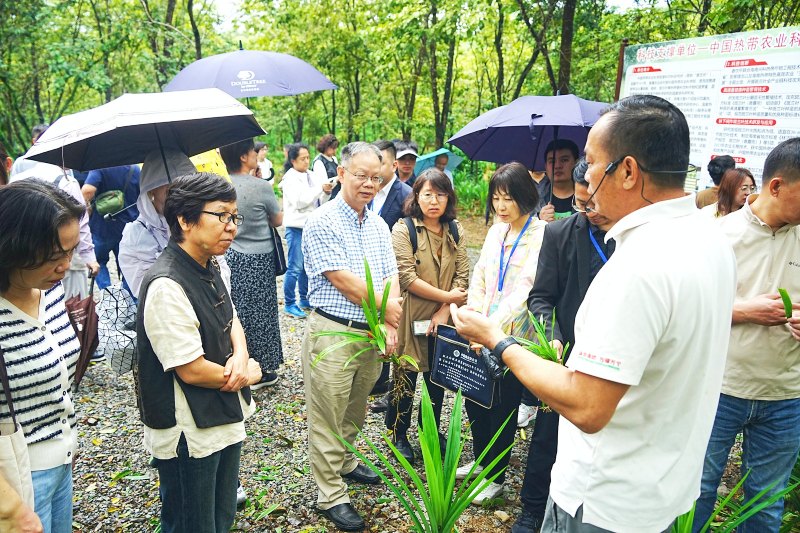 聚焦标准引领！全国糕点标委会2025年工作会议在海南万宁召开(图4)