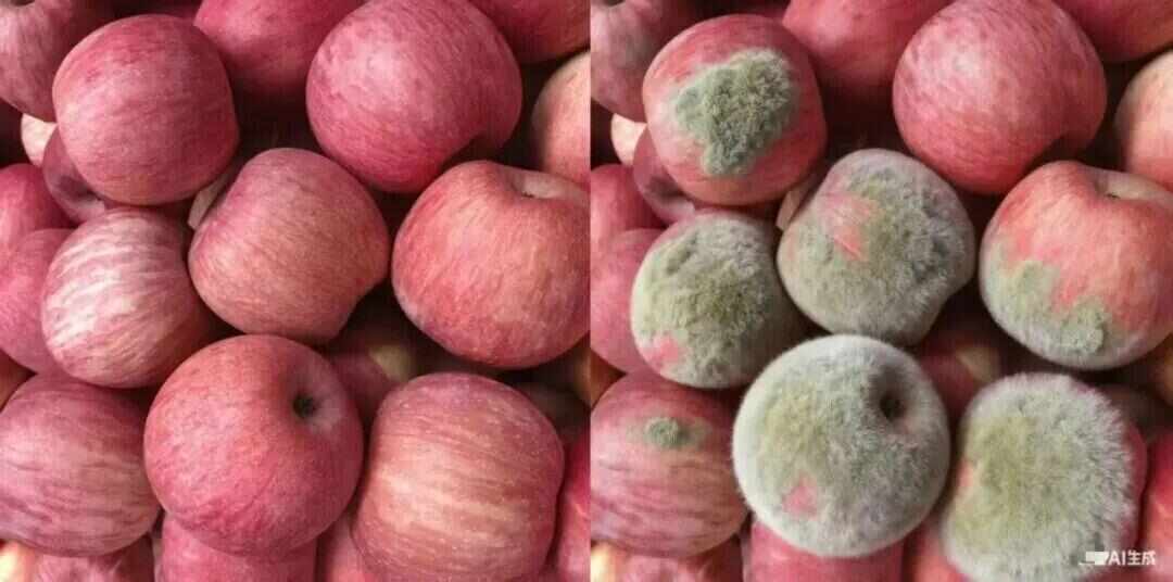 九游体育网站：用AI造假P图然后申请“仅退款”想“白嫖”！商家：让买家换个角度拍也不愿意律师：已涉嫌诈骗